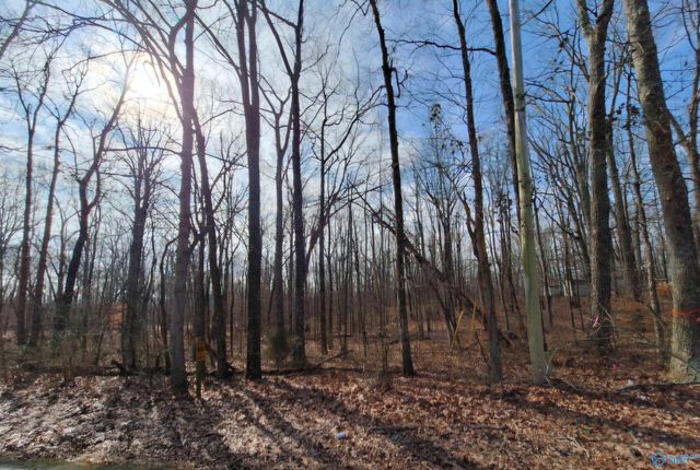 1 Acre Keel Mountain Road, Gurley, AL 35748
