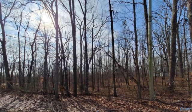 1 Acre Keel Mountain Road, Gurley, AL 35748