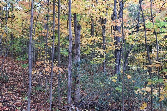 611 Michael Avenue, Update, MI 49685