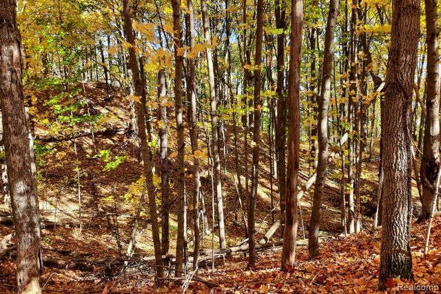 611 Michael Avenue, Update, MI 49685