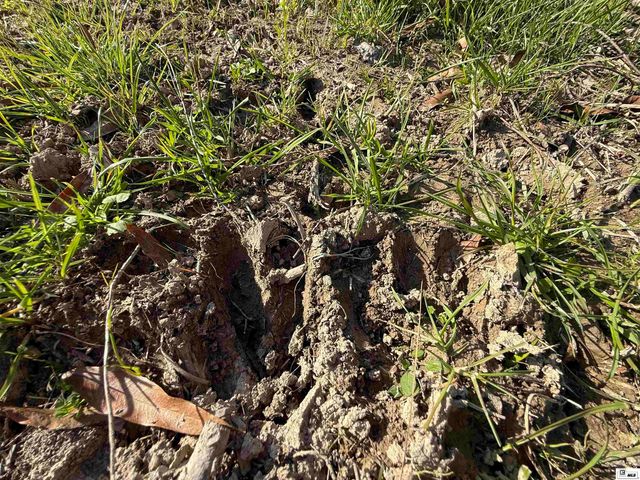 722 HIGHWAY 578, Winnsboro, LA 71295