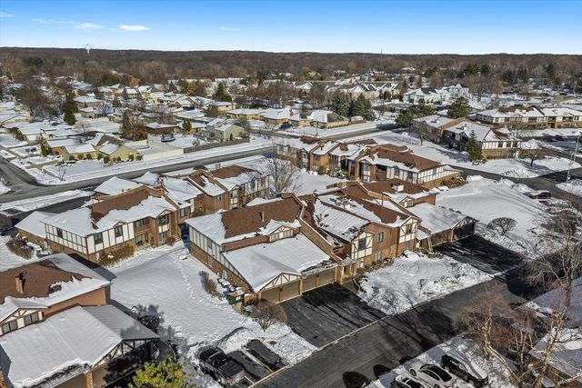 9748 Mill Drive E 2E, Palos Park, IL 60464