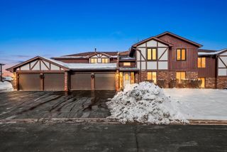 9748 Mill Drive E 2E, Palos Park, IL 60464