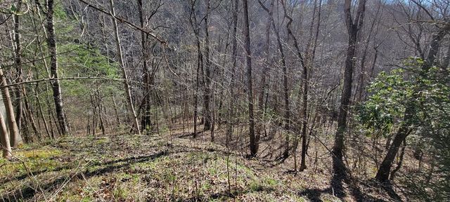 130 Richter Drive, Topton, NC 28781