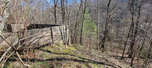 130 Richter Drive, Topton, NC 28781