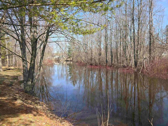 89 River Drive, Merritt, MI 49667