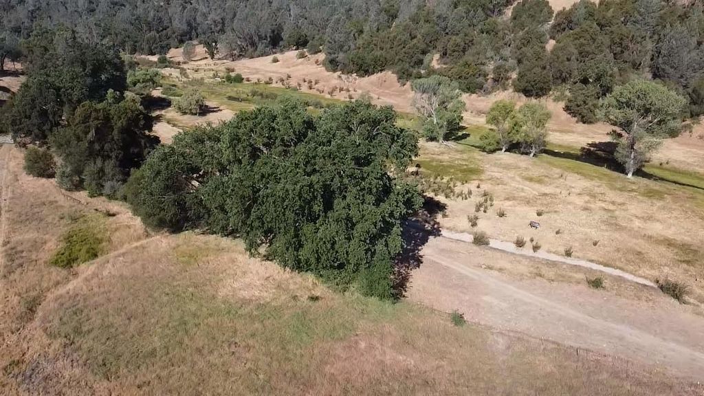 Image 14 of property listing at 50871 Road 200, O Neals, CA 93645