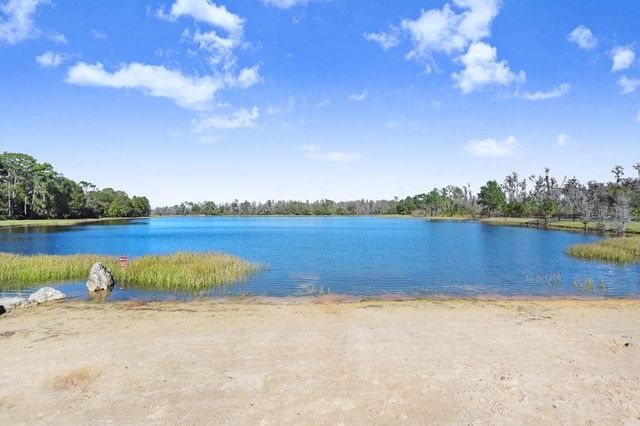 13007 BATTEN LANE, Odessa, FL 33556