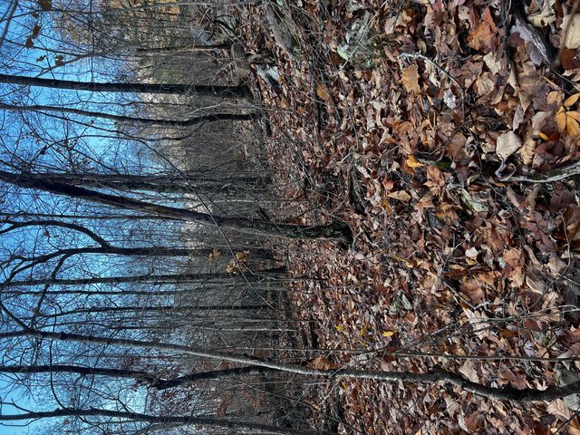 0 Rocky Ledge Road, Hixson, TN 37343