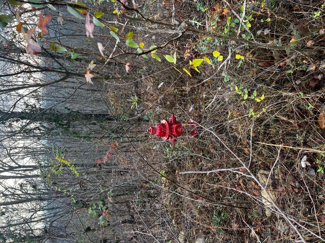 0 Rocky Ledge Road, Hixson, TN 37343