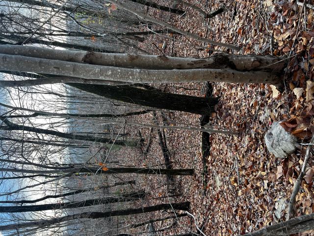 0 Rocky Ledge Road, Hixson, TN 37343