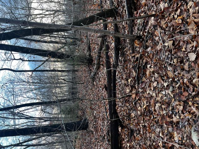 0 Rocky Ledge Road, Hixson, TN 37343