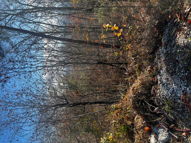 0 Rocky Ledge Road, Hixson, TN 37343