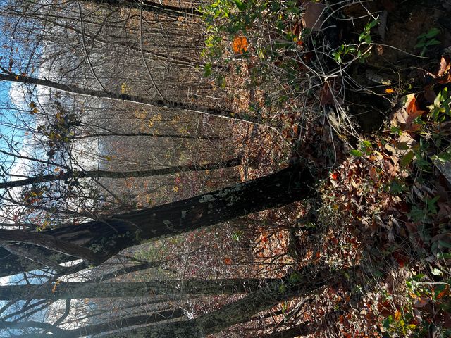 0 Rocky Ledge Road, Hixson, TN 37343