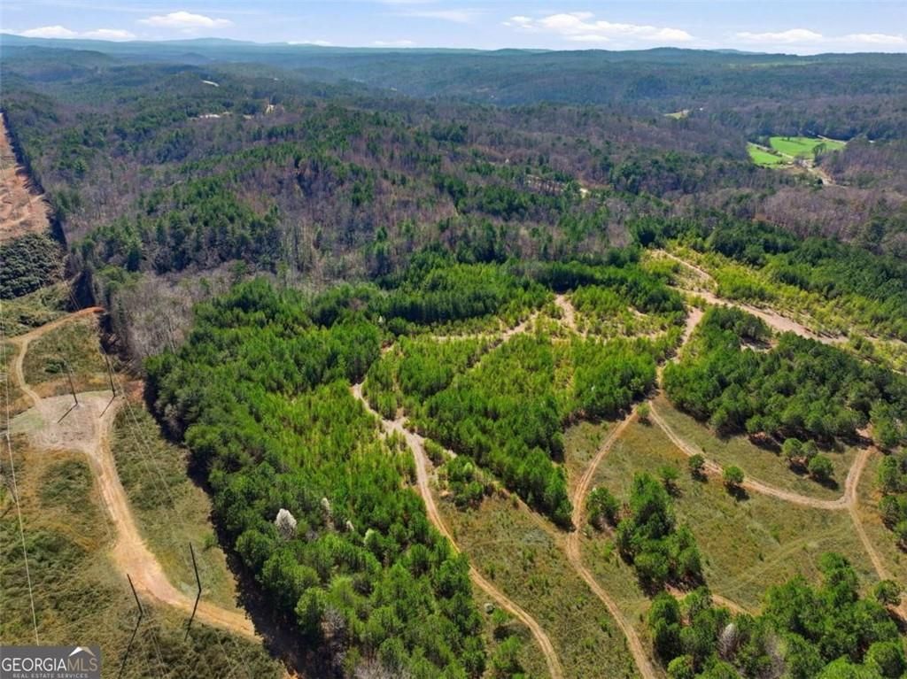 Image 13 of property listing at 174 POWERSPORTS Drive, Ellijay, GA 30175