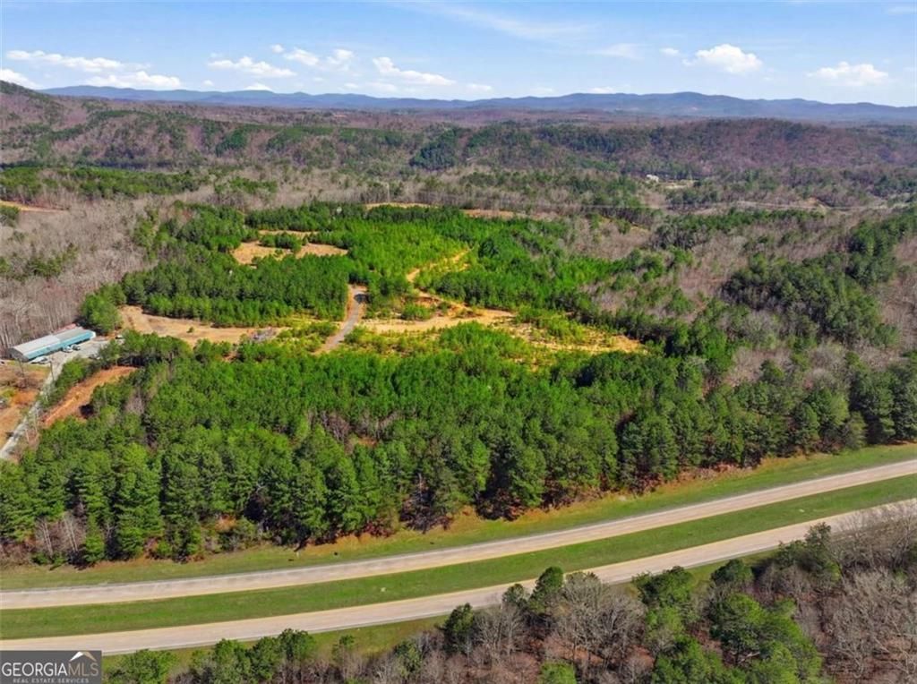 Image 5 of property listing at 174 POWERSPORTS Drive, Ellijay, GA 30175