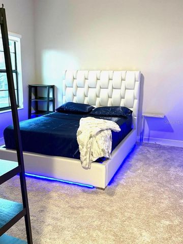 2667 NORTHWOOD PARK STREET, Valrico, FL 33596