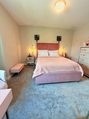 2667 NORTHWOOD PARK STREET, Valrico, FL 33596
