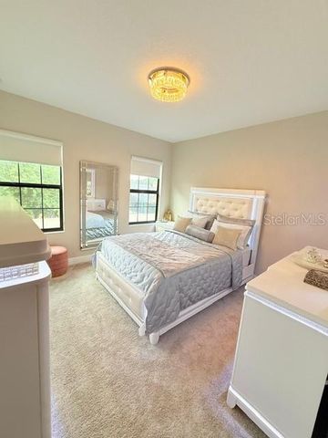2667 NORTHWOOD PARK STREET, Valrico, FL 33596