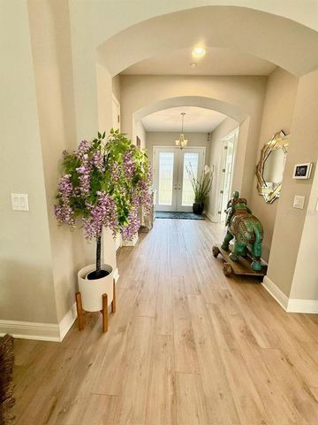 2667 NORTHWOOD PARK STREET, Valrico, FL 33596