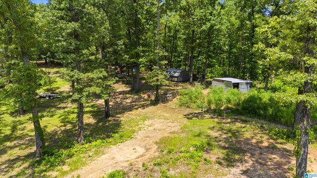 12523 EVE LOU AVENUE, Mccalla, AL 35111