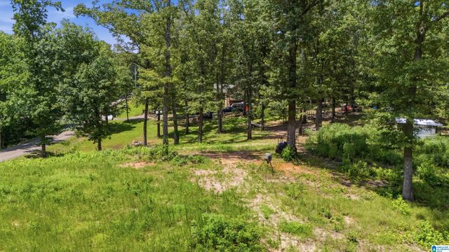 12523 EVE LOU AVENUE, Mccalla, AL 35111
