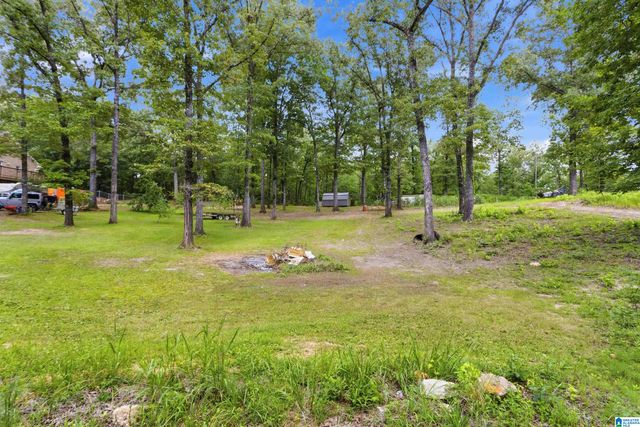 12523 EVE LOU AVENUE, Mccalla, AL 35111