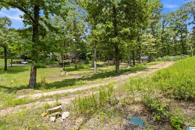 12523 EVE LOU AVENUE, Mccalla, AL 35111