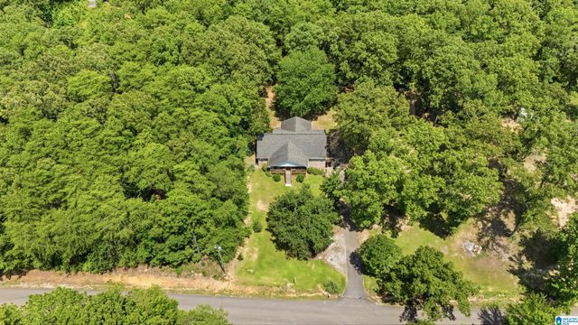 12523 EVE LOU AVENUE, Mccalla, AL 35111