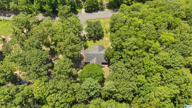 12523 EVE LOU AVENUE, Mccalla, AL 35111