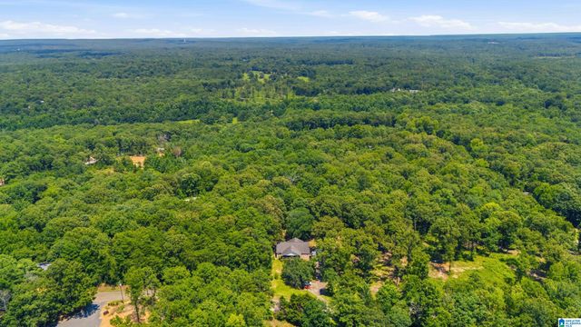 12523 EVE LOU AVENUE, Mccalla, AL 35111