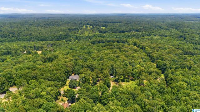 12523 EVE LOU AVENUE, Mccalla, AL 35111