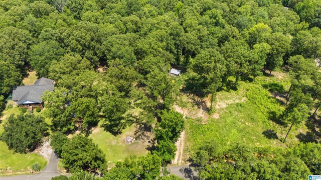 12523 EVE LOU AVENUE, Mccalla, AL 35111