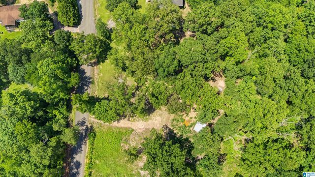 12523 EVE LOU AVENUE, Mccalla, AL 35111