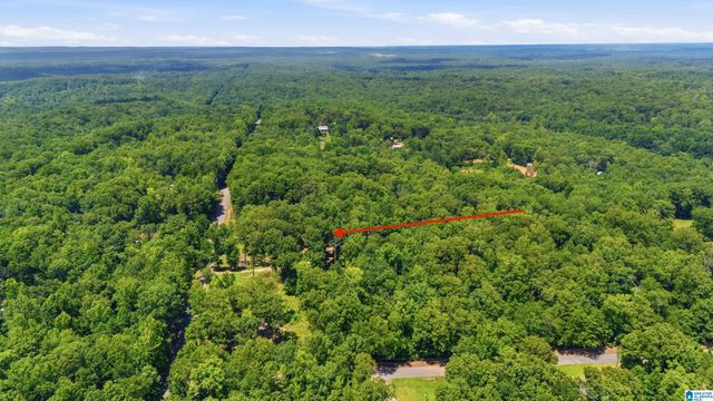 12523 EVE LOU AVENUE, Mccalla, AL 35111