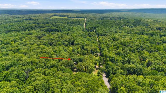 12523 EVE LOU AVENUE, Mccalla, AL 35111
