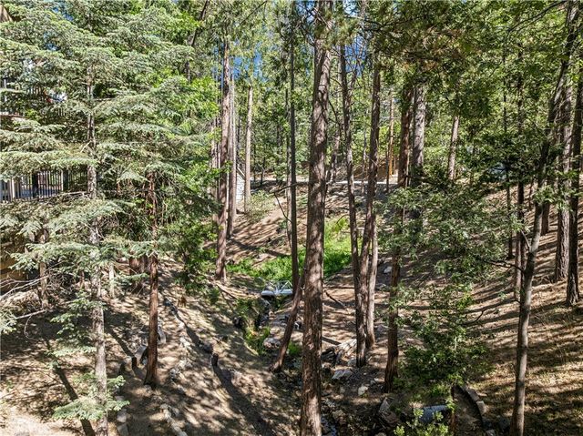628 Grass Valley Road, Lake Arrowhead, CA 92352