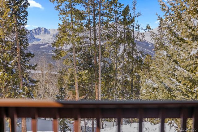 1014 Atlantic Lode Road, Breckenridge, CO 80424