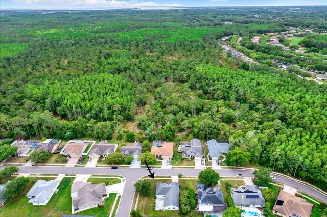 2433 SADDLEWOOD LANE, Palm Harbor, FL 34685