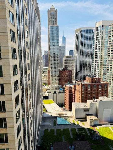 100 E Walton Street 36D, Chicago, IL 60611