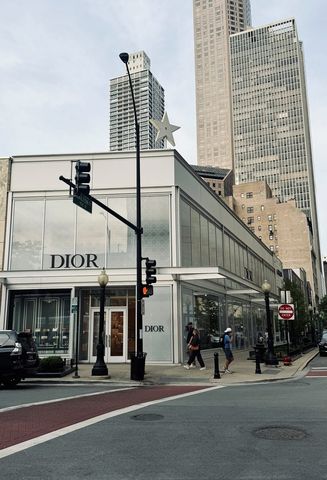 100 E Walton Street 36D, Chicago, IL 60611