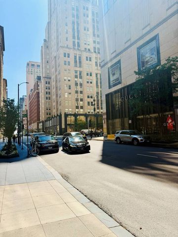 100 E Walton Street 36D, Chicago, IL 60611