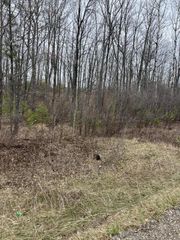 ONE MILE ROAD, Dunbar, WI 54119