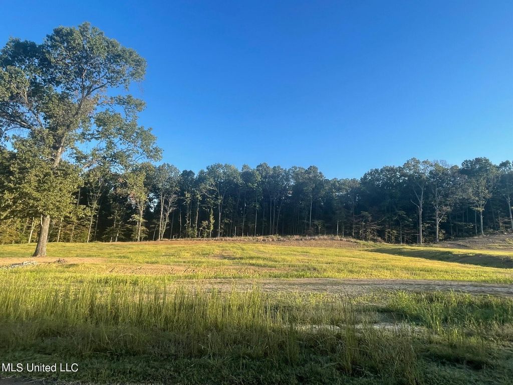 9 Plank Road, Hernando, MS 38632 — exterior