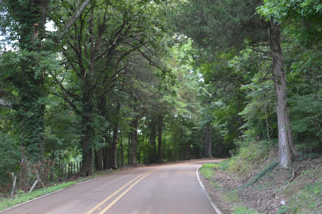9 Plank Road, Hernando, MS 38632 — photo 4