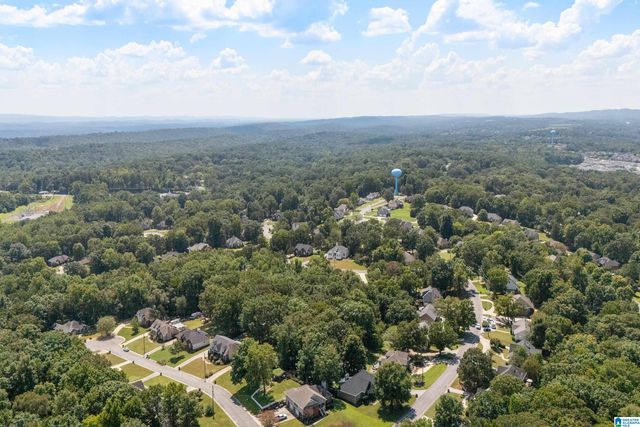 3706 MAJESTIC OAKS WAY, Trussville, AL 35173