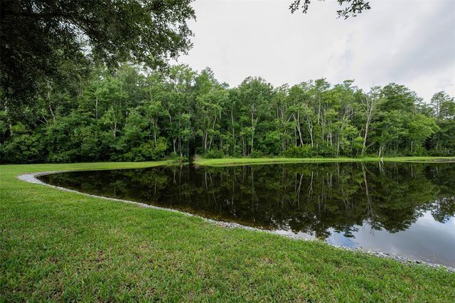 1553 ARLINGTON OAKS COURT, New Port Richey, FL 34655
