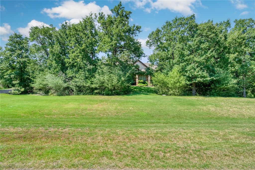 18580 Kiowa Cove, College Station, TX 77845 — photo 3