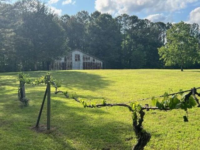 1166 - 2 Acres B Street, Pine Mountain Valley, GA 31823