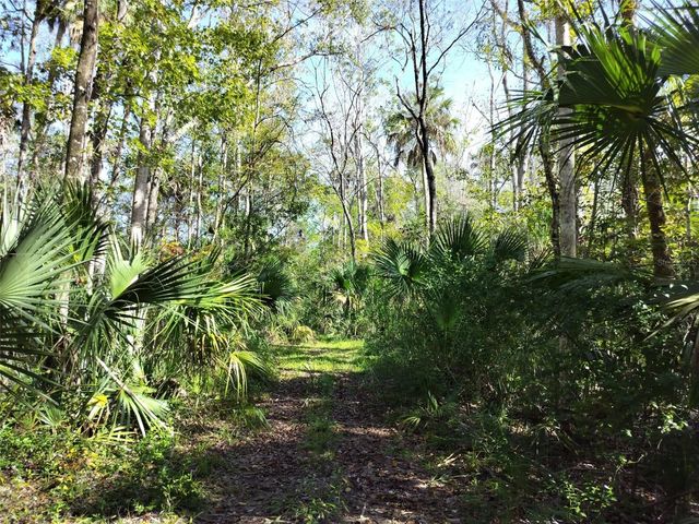 10008 W PENNSYLVANIA STREET, Homosassa, FL 34448